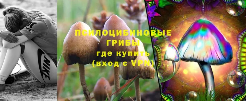 Галлюциногенные грибы MAGIC MUSHROOMS  Мензелинск 